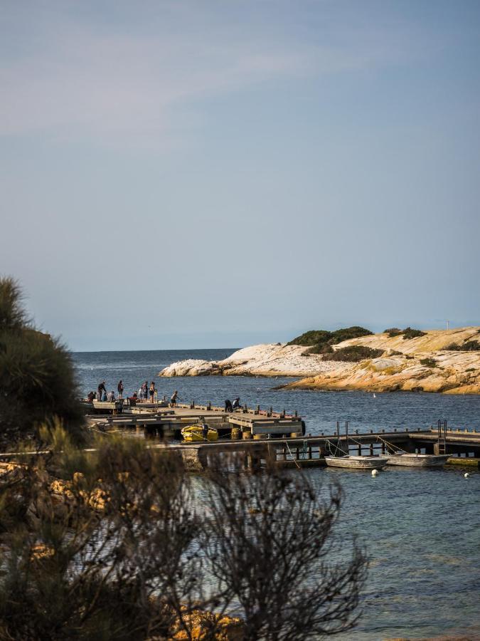 Suntrap Cove Bicheno Exterior photo